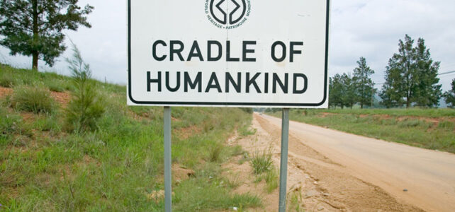 Landing a Job in the Cradle of Humankind